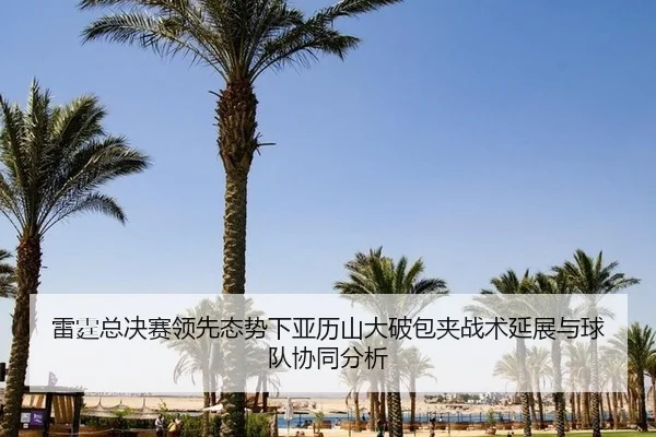 lei-ting-zong-jue-sai-ling-xian-tai-shi-xia-ya-li-shan-da-po-bao-jia-zhan-shu-yan-zhan-yu-qiu-dui-xie-tong-fen-xi-2-631.jpg